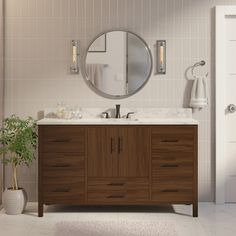 a bathroom with a sink, mirror and potted plant