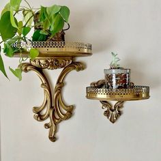 two gold wall mounted shelves with plants on them and one holding a potted plant