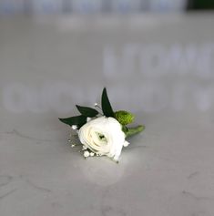 a single white rose with green leaves on a marble surface