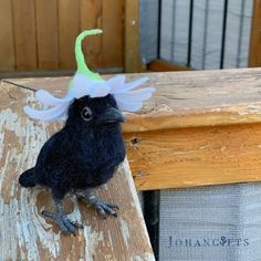 a black bird with a green and white hat on it's head