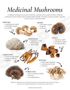 Mushrooms Benefits, Nutritionist Branding, Holistic Nutrition Recipes, Nutritional Therapy Practitioner, Link Edit, Functional Health, Holistic Recipes, Nerve Health, Nutrition Branding