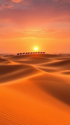 a herd of wild animals walking across a desert at sunset with the sun in the background