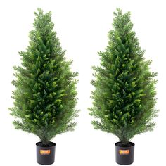 two potted trees are shown side by side