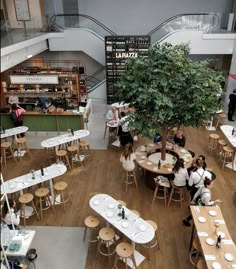 an overhead view of people eating at tables in a restaurant with trees growing from the ceiling