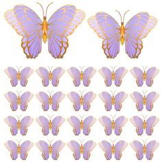 the butterflies are all different colors and sizes, but there is no image to describe