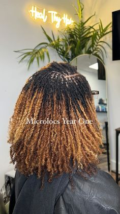 Instagram Sister Locs Vs Microlocs, Blonde Microlocs, Microloc Inspiration, Colored Microlocs, Microloc Extensions, Color Locs, Locs Journey