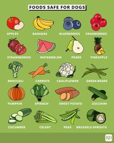 an illustrated poster with different fruits and vegetables on it's green background, including apples, blueberries, cranberries, broccoli, zucchini, cucumbers,