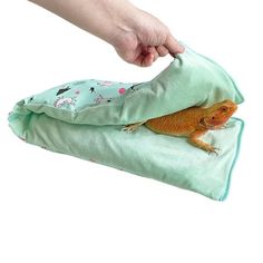 a small lizard sitting on top of a green pillow