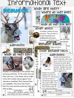 an informational text with pictures of animals and their names in the form of words