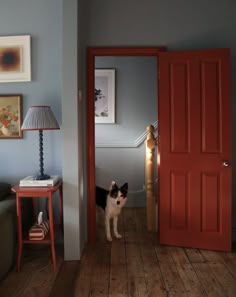 a black and white dog standing in front of a red door next to a green couch