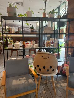 two chairs with faces painted on them sit in front of a glass case filled with potted plants