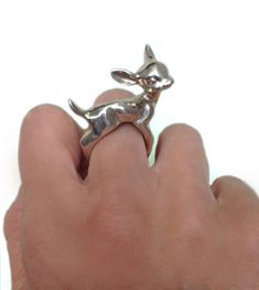 a person's hand holding a silver dog ring