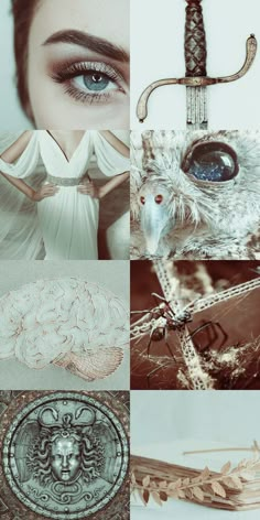 Owls Eyes, Greek Mythology Aesthetic, Minerva Goddess, Athena Aesthetic, Mythology Aesthetic, Goddess Aesthetic, Greek Heroes, Greek Myth, Greek Gods And Goddesses