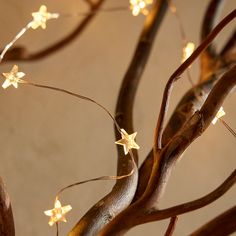 a lighted tree branch with stars on it