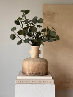 a plant in a vase sitting on top of a stack of books next to a wall