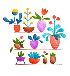 a drawing of potted plants in different colors