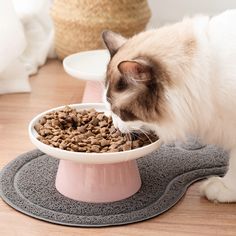 a cat eating out of a bowl on the floor with a price tag for $ 0 99