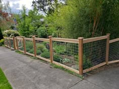 a fenced in garden area with plants growing on the sides and trees behind it