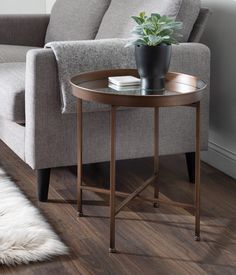 a table with a potted plant on it in front of a couch and rug