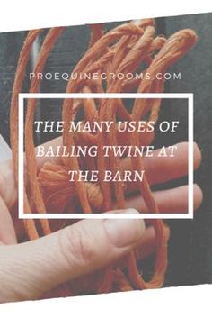 the many uses of bailing twine at the barn - prologine com