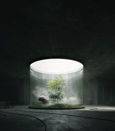 an empty room with a tree in the center and fog coming from the ceiling behind it