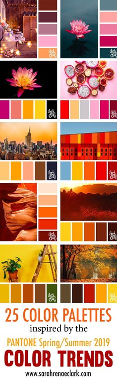 the color palettes are all different colors in this photo, and there is an image of