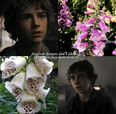 three different pictures one with flowers and the other with an image of a man in black shirt