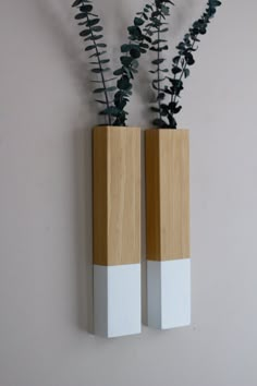 two wooden vases with plants in them on a wall