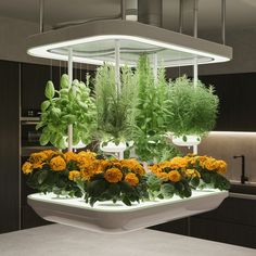 an arrangement of flowers and plants in pots on a suspended planter over a kitchen counter