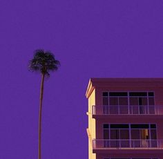 an airplane is flying in the sky over a building and a palm tree at night