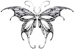 a black and white drawing of a butterfly