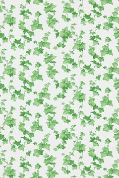 green leaves on white background for wallpaper or fabric design stock photo - 1387982