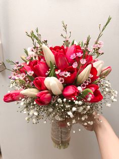 a bouquet of red and white tulips in a vase with baby's breath