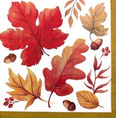 an image of autumn leaves and acorns on a white paper napkin with gold trim