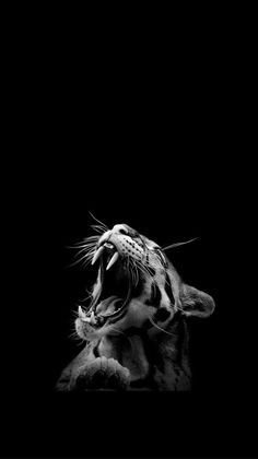 a black and white photo of a cat with it's mouth open in the dark