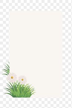 an empty sheet of paper with daisies and grass on the bottom, transparent background