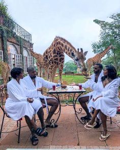 four people sitting at a table with giraffes in the background and one standing up