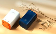 two blue and white speakers sitting next to each other on a table with dried plants