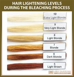 Hair Toners For Blonde, Tone Yellow Hair, Levels Of Hair Color, Level 6 Hair Color, Toner For Orange Hair, Level 7 Hair Color, Toning Bleached Hair, Highlights Tutorial, Cosmetology Instructor