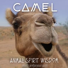 a camel with its mouth open and the words camell on it's side