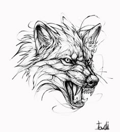 a drawing of a wolf's head with its mouth open and fangs out,