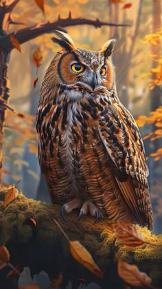 an owl sitting on top of a tree branch in the woods with autumn leaves around it