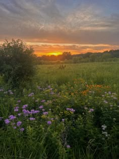 the sun is setting over an open field with wildflowers