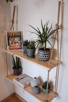 three shelves with plants and pictures on them