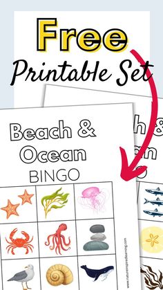 colorful beach bingo cards overlapping on a light blue background with a large red arrow next to yellow and black text. Beach Bingo, Summer Activity For Kids, Homeschool Freebies, Kindergarten Lesson Plans, Homeschool Encouragement, Teacher Lesson Plans