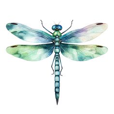 a blue and green dragonfly sitting on top of a white surface with its wings spread out