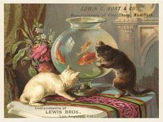 an old postcard features two cats and a fish bowl