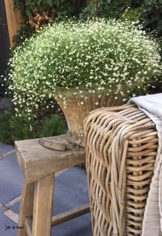 small white flowers in a wicker vase on a wooden bench next to shrubbery