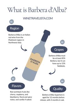 Infographic of Barbera d'Alba wine, including the Piedmont Italian wine region, allowable wine grapes, aromas and flavors, and quality indicators. Wine Cheat Sheet, Types Of Champagne, Italian Red Wine, Wine App, Elderberry Wine