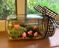 a glass jar filled with moss and little pigs